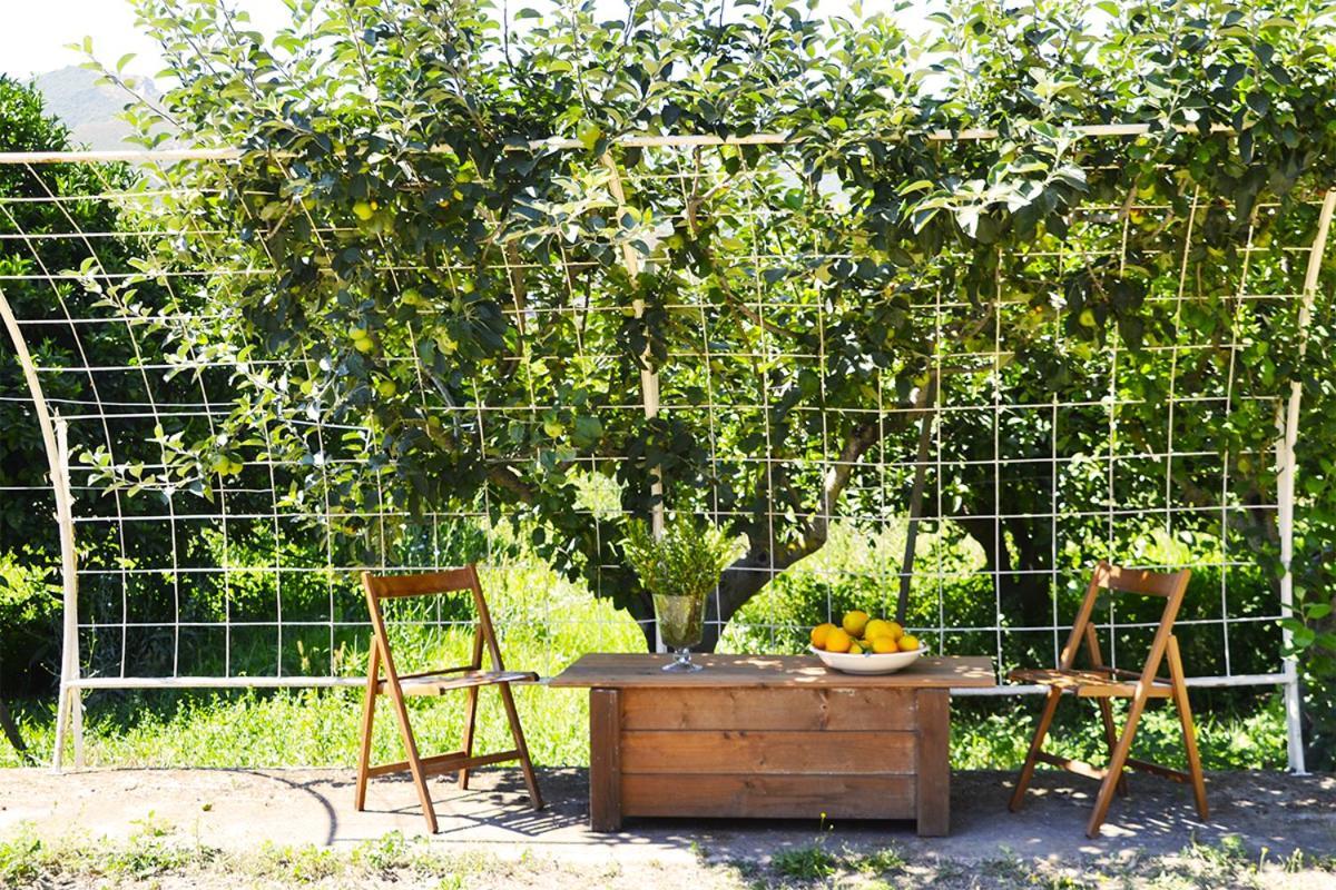 Luna&Limoni Country ムラヴェーラ エクステリア 写真